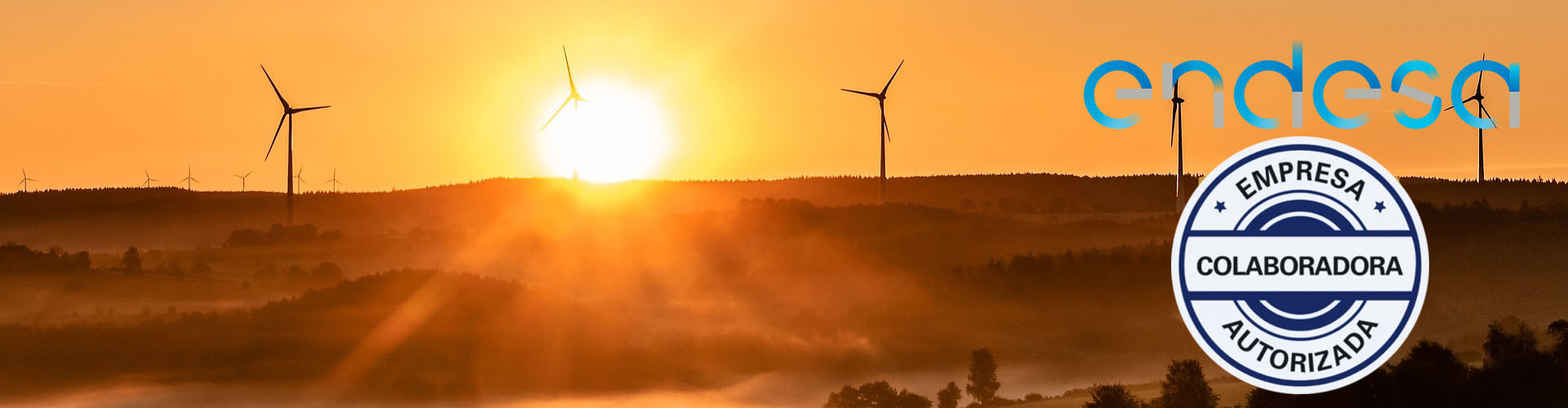 consorcio-energia-andalucia-endesa-electricidad-ahorre-tranquilidad-tarifas-luz-empresa-autorizada-endesa-mercado-electrico